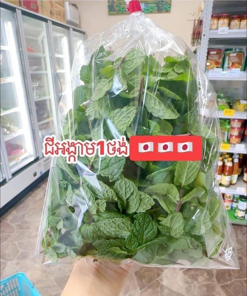 ជីអង្កាម