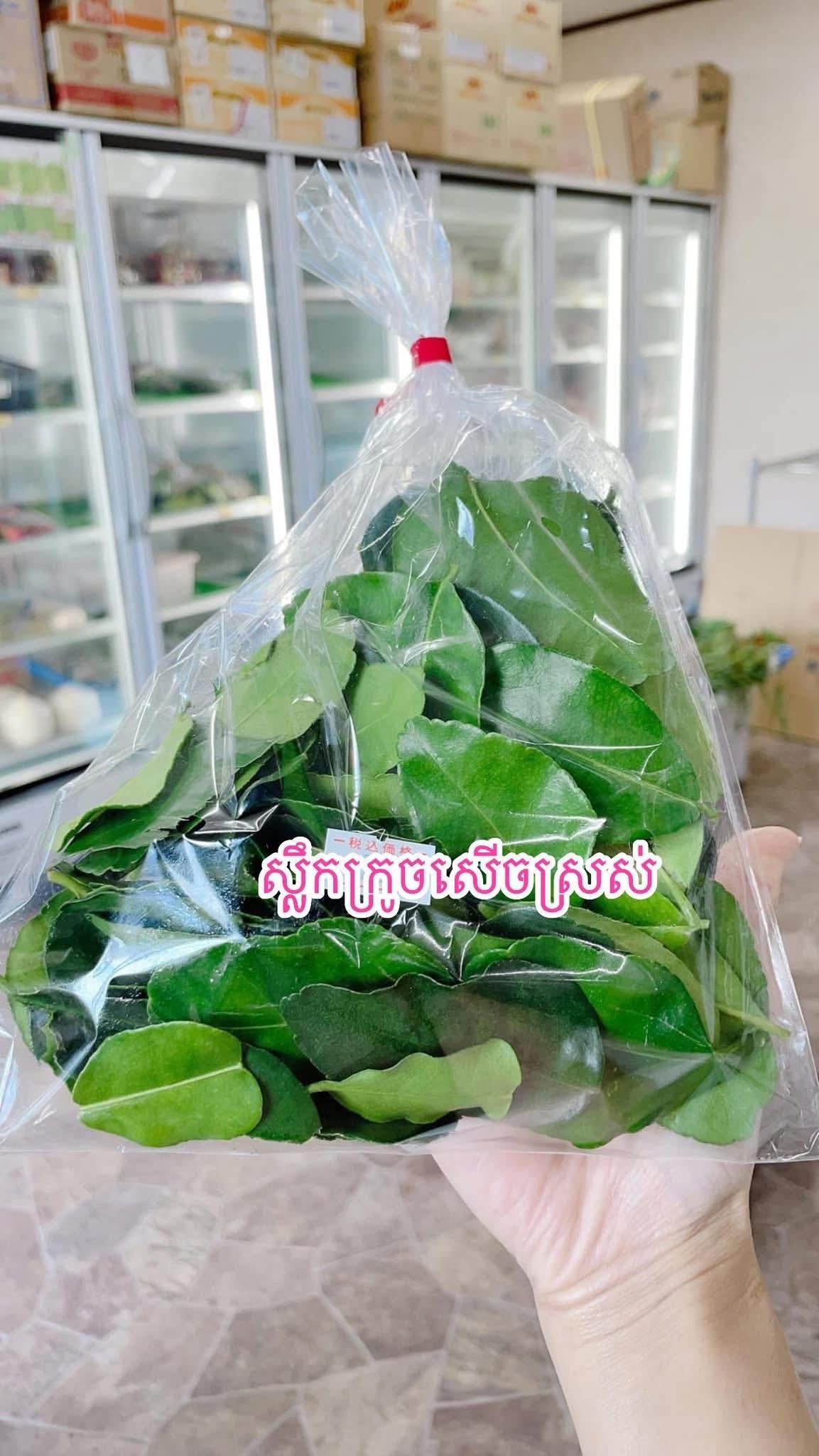 ស្លឹកក្រូចសើចស្រស់
