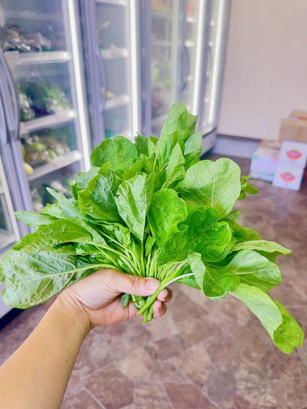 ផ្ទីស្រស់