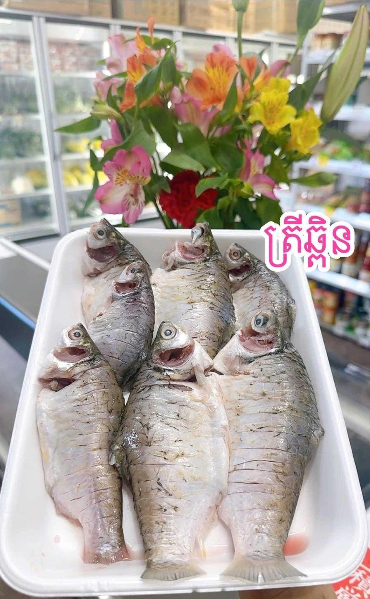 ត្រីឆ្ពឹន