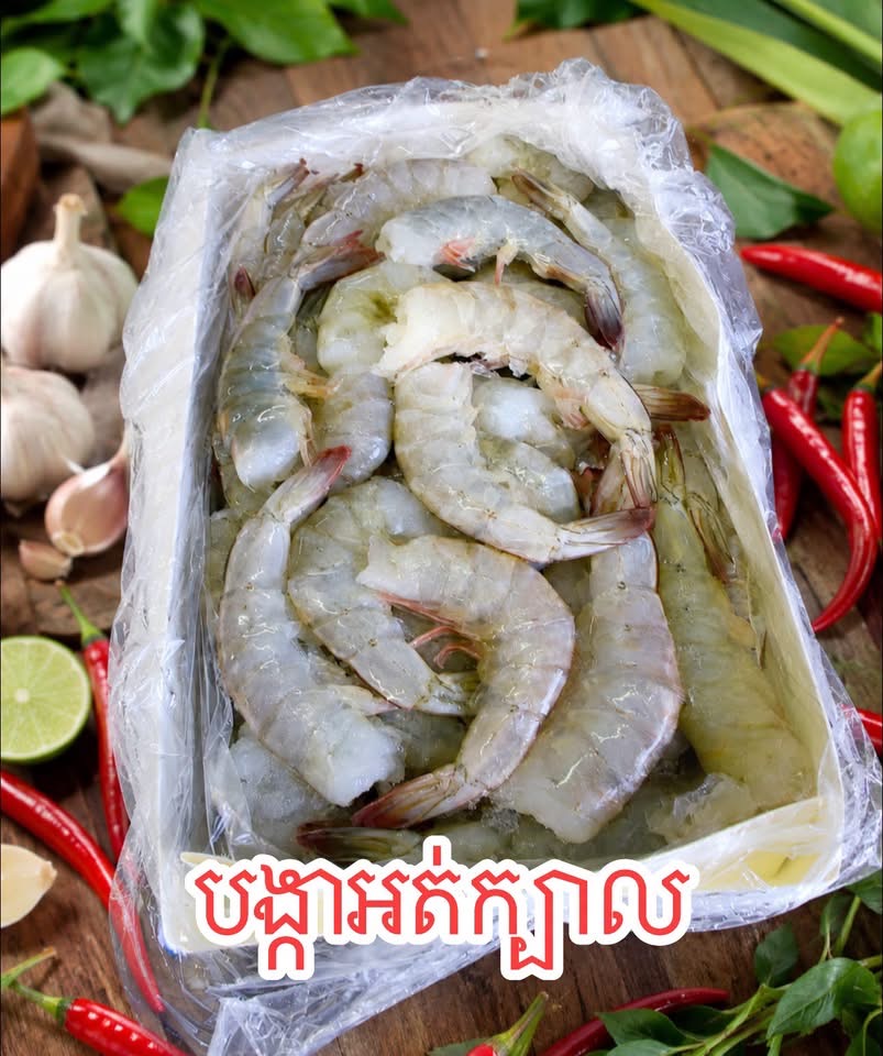 បង្គាអត់ក្បាល