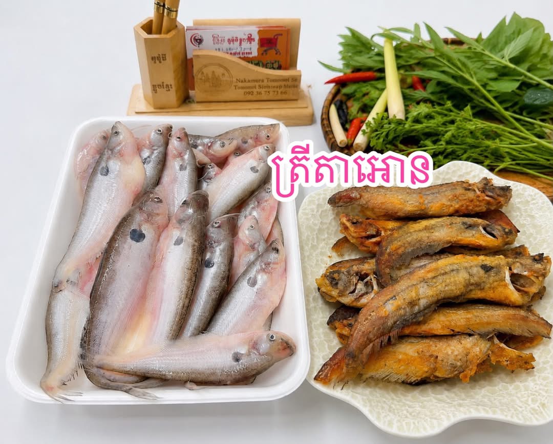 ត្រីតាអោន