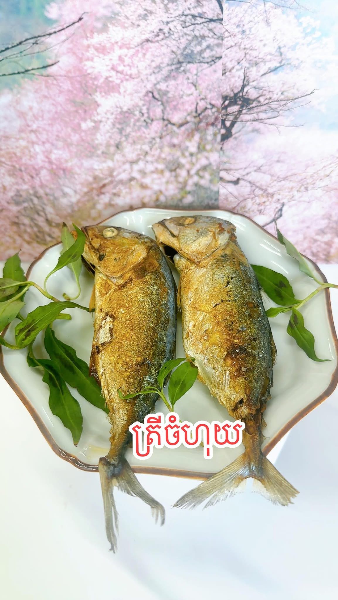 ត្រីចំហុយ gallery