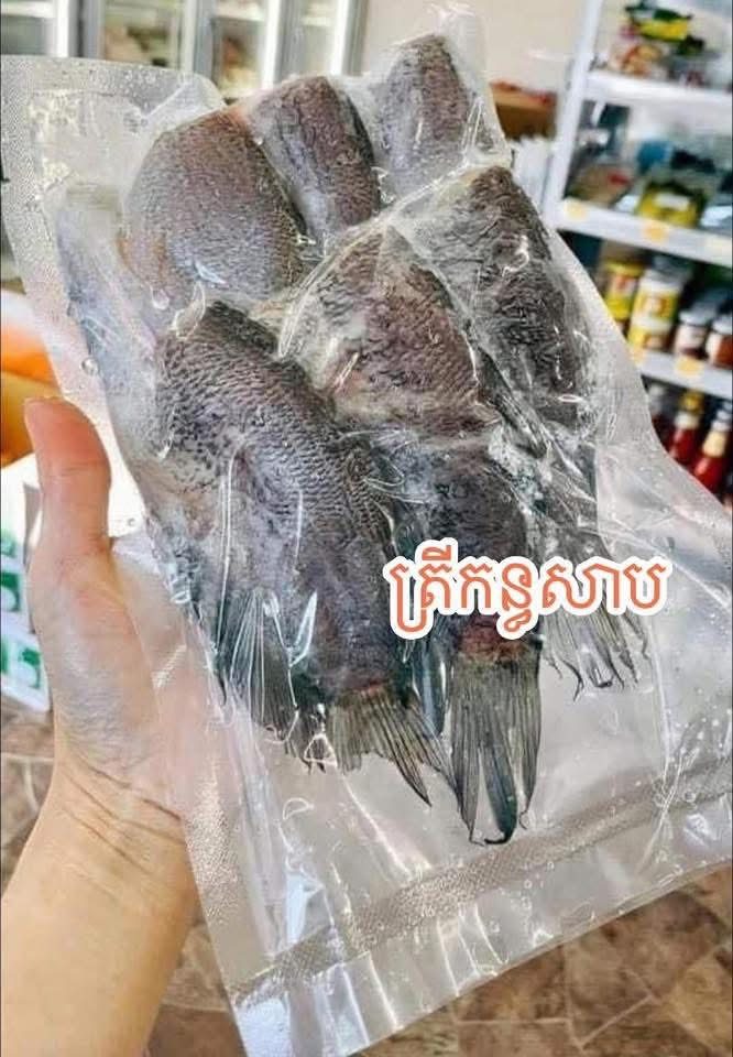 ត្រីកន្ធសាប