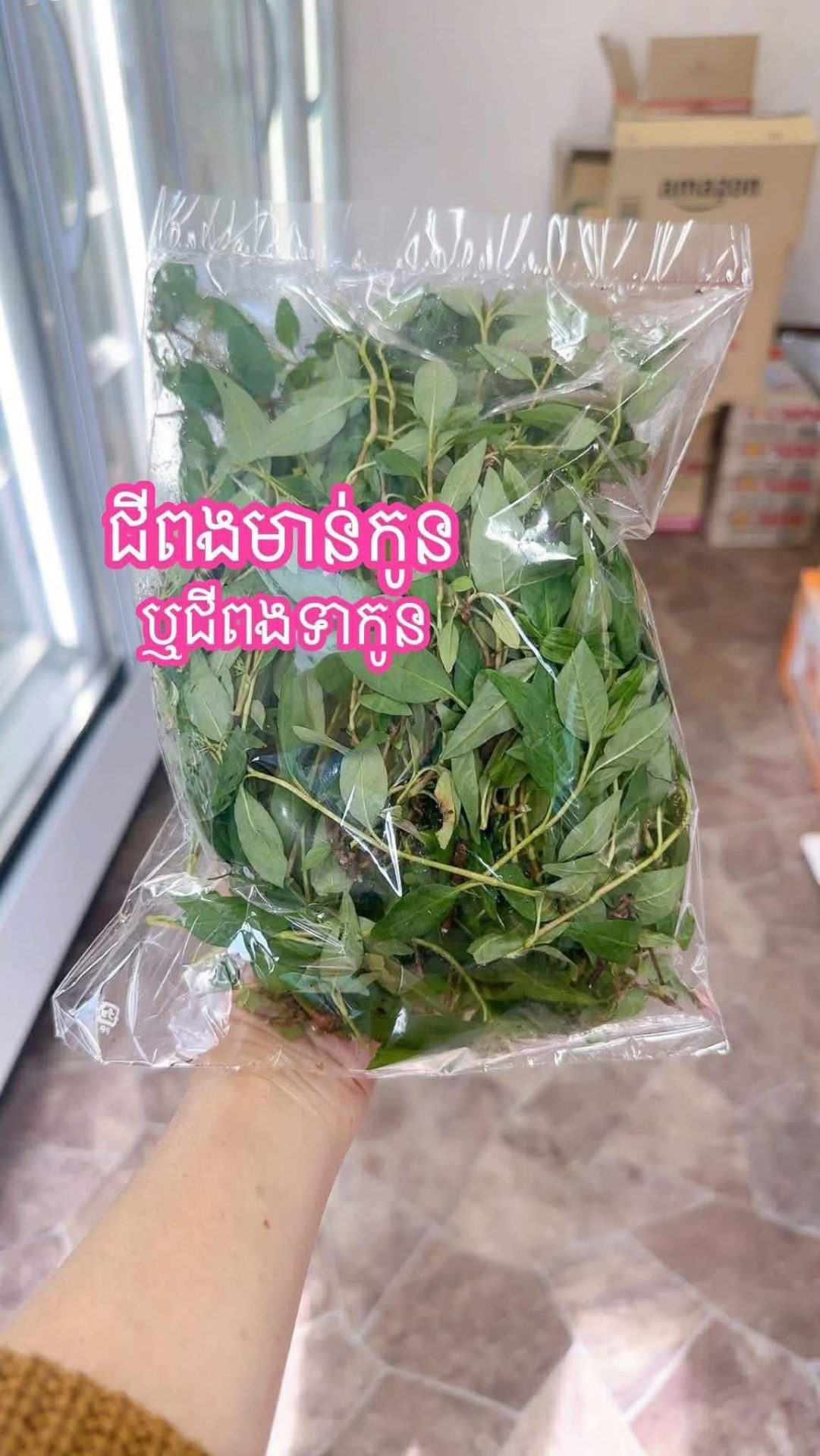 ជីពងមាន់កូន gallery