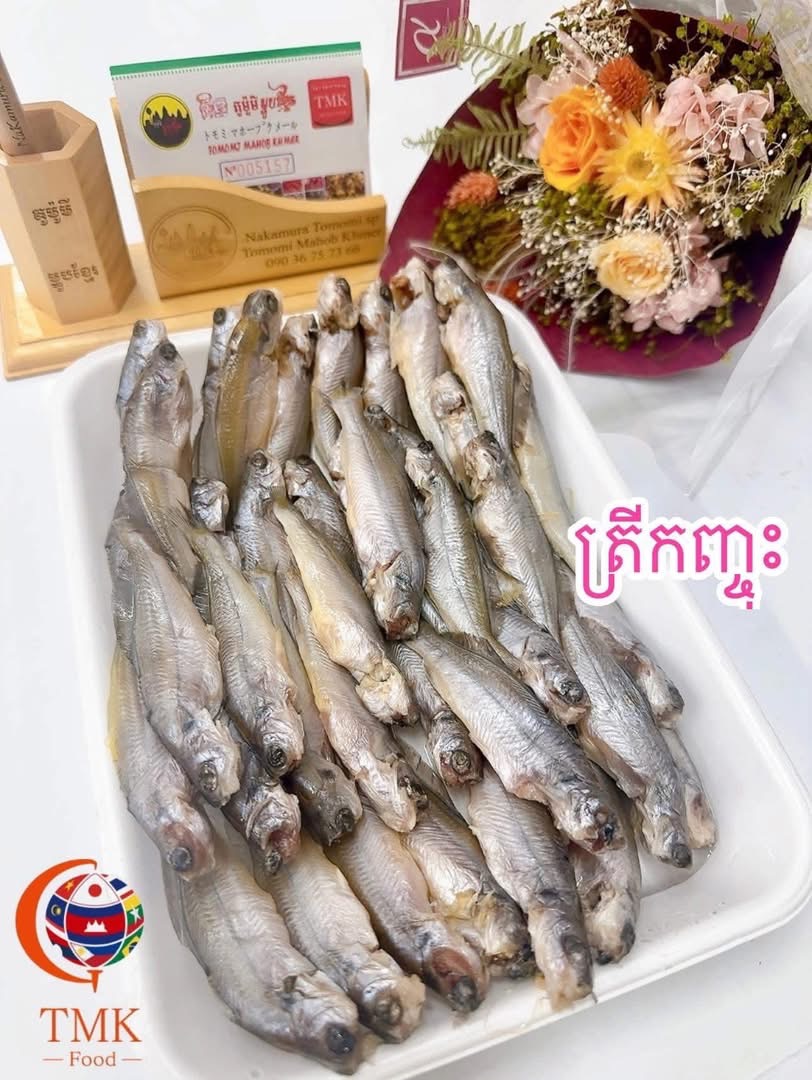 ត្រីកញ្ចុះ