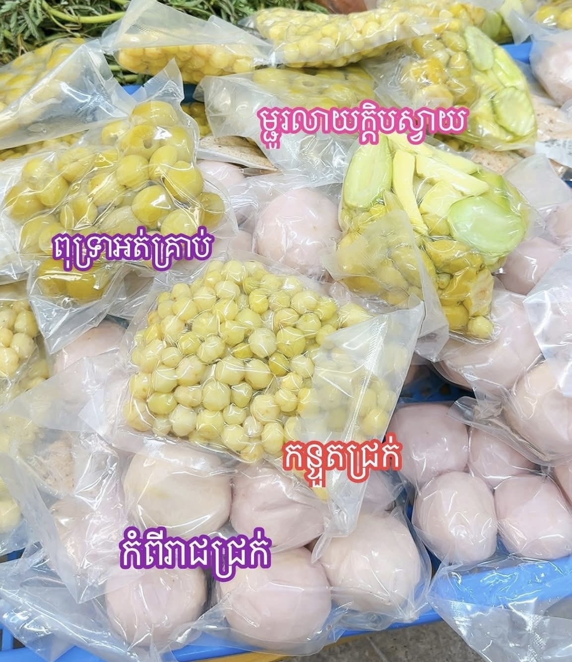 កំពីរាជត្រាំ