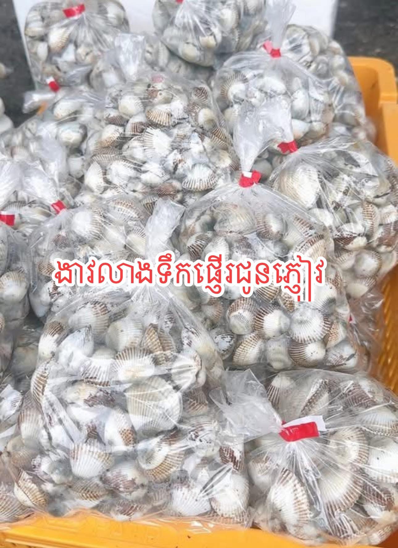 ងាវស្រស់ gallery