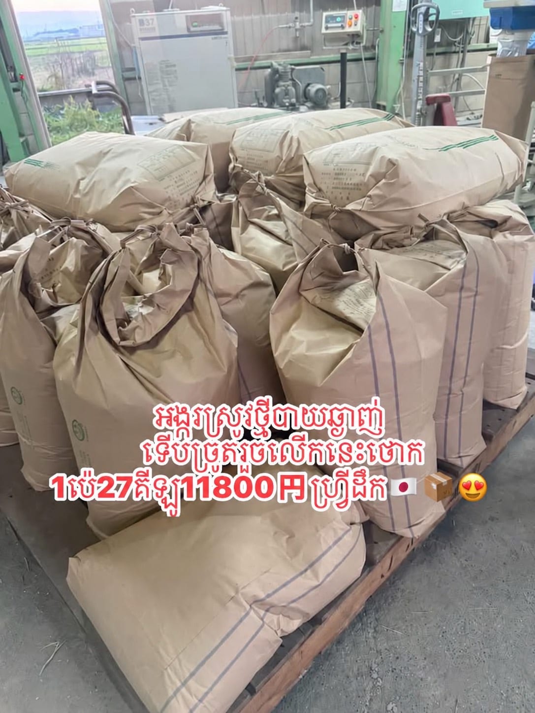 អង្ករសរស្រូវថ្មីNihonbare(1ប៉េ27គីឡូ)
