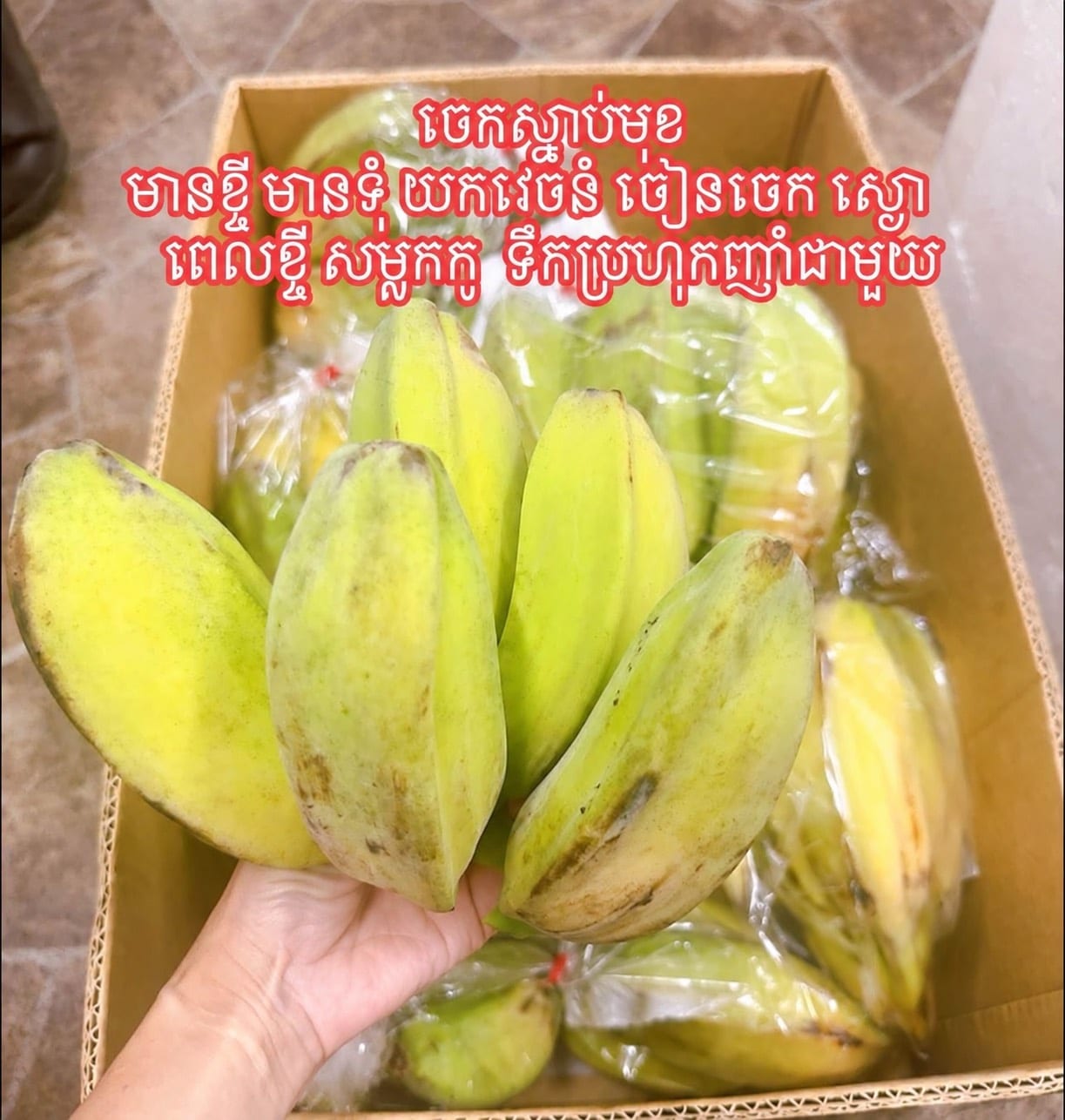 ចេកស្នាមុខ