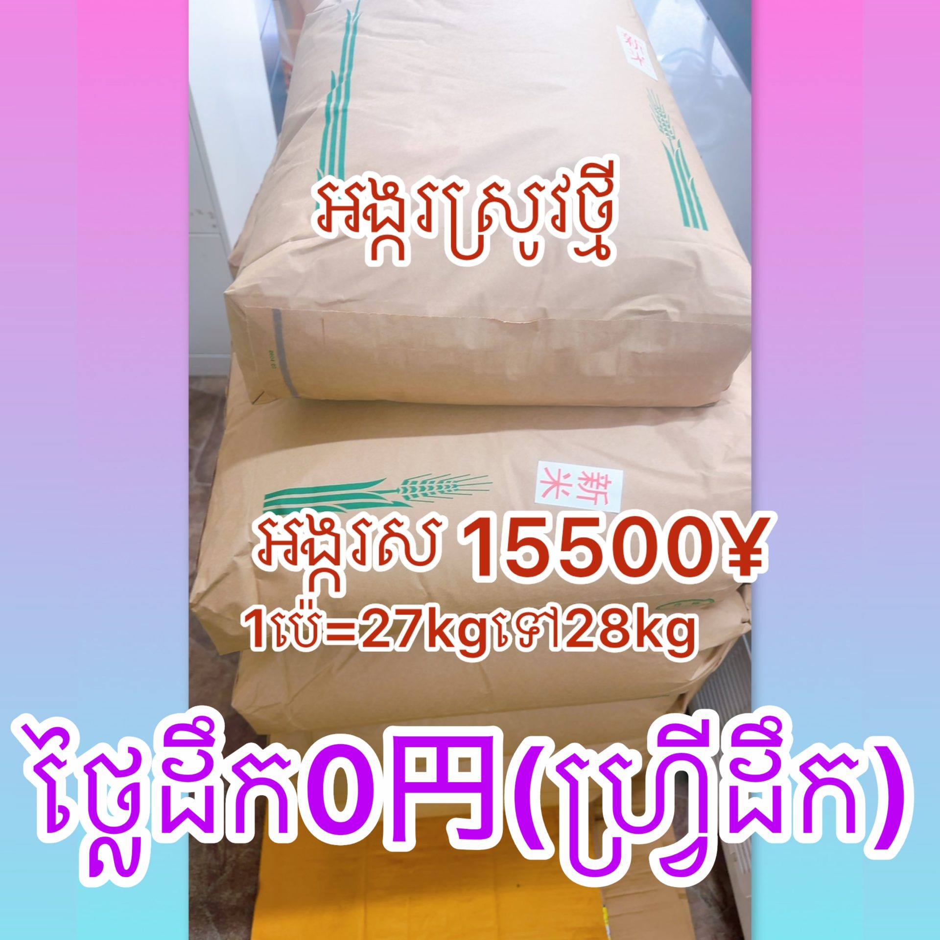 អង្ករស្រូវថ្មី(អង្ករសコシヒカリ) gallery